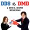 DDS vs. DMD: A Dental Degree Breakdown (featured image)
